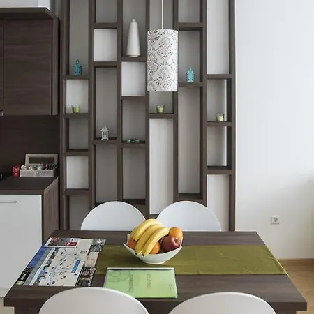 Apartament Turistic Centar